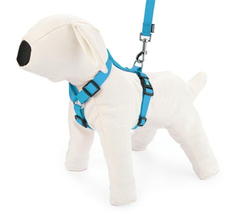 szelki-regulowane-tasma-l-niebieskie