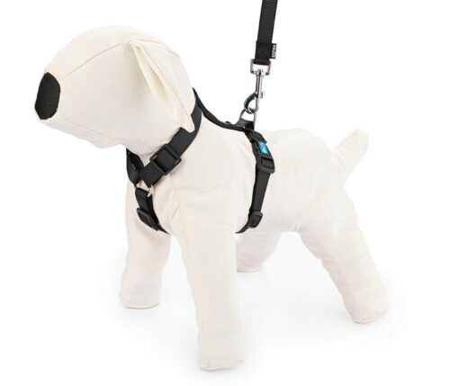 szelki-regulowane-tasma-m-czarne