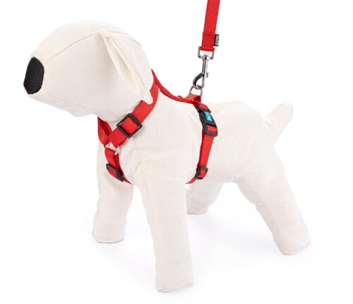 szelki-regulowane-tasma-m-czerwone