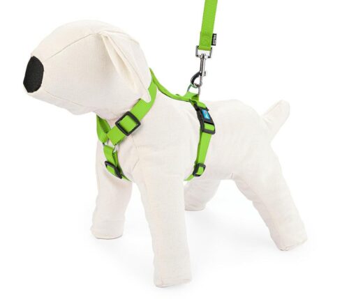 szelki-regulowane-tasma-m-limonkowe