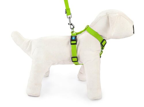 szelki-regulowane-tasma-m-limonkowe