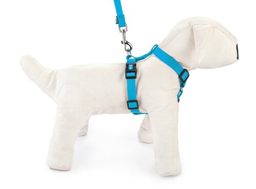 szelki-regulowane-tasma-s-niebieskie