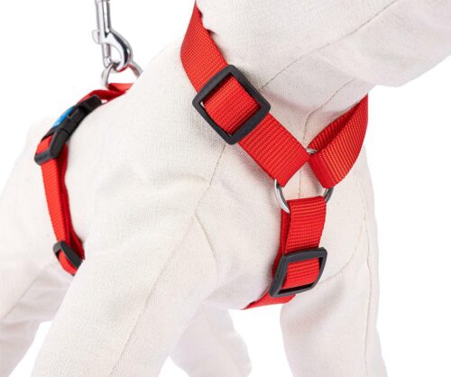 szelki-regulowane-tasma-xl-czerwone