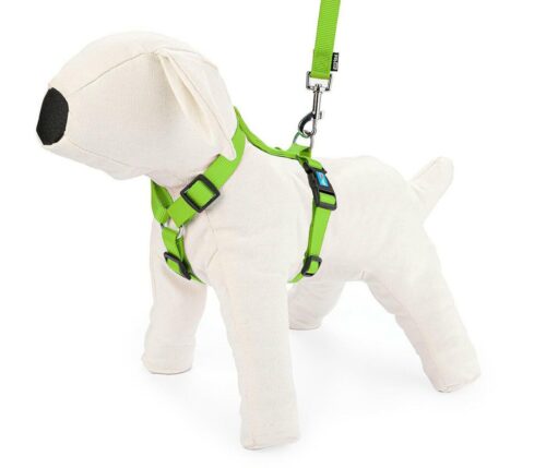 szelki-regulowane-tasma-xl-limonkowe