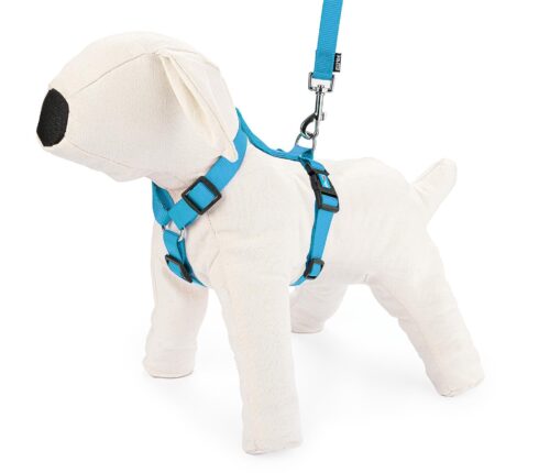 szelki-regulowane-tasma-xl-niebieskie