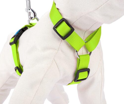 szelki-regulowane-tasma-xs-limonkowe