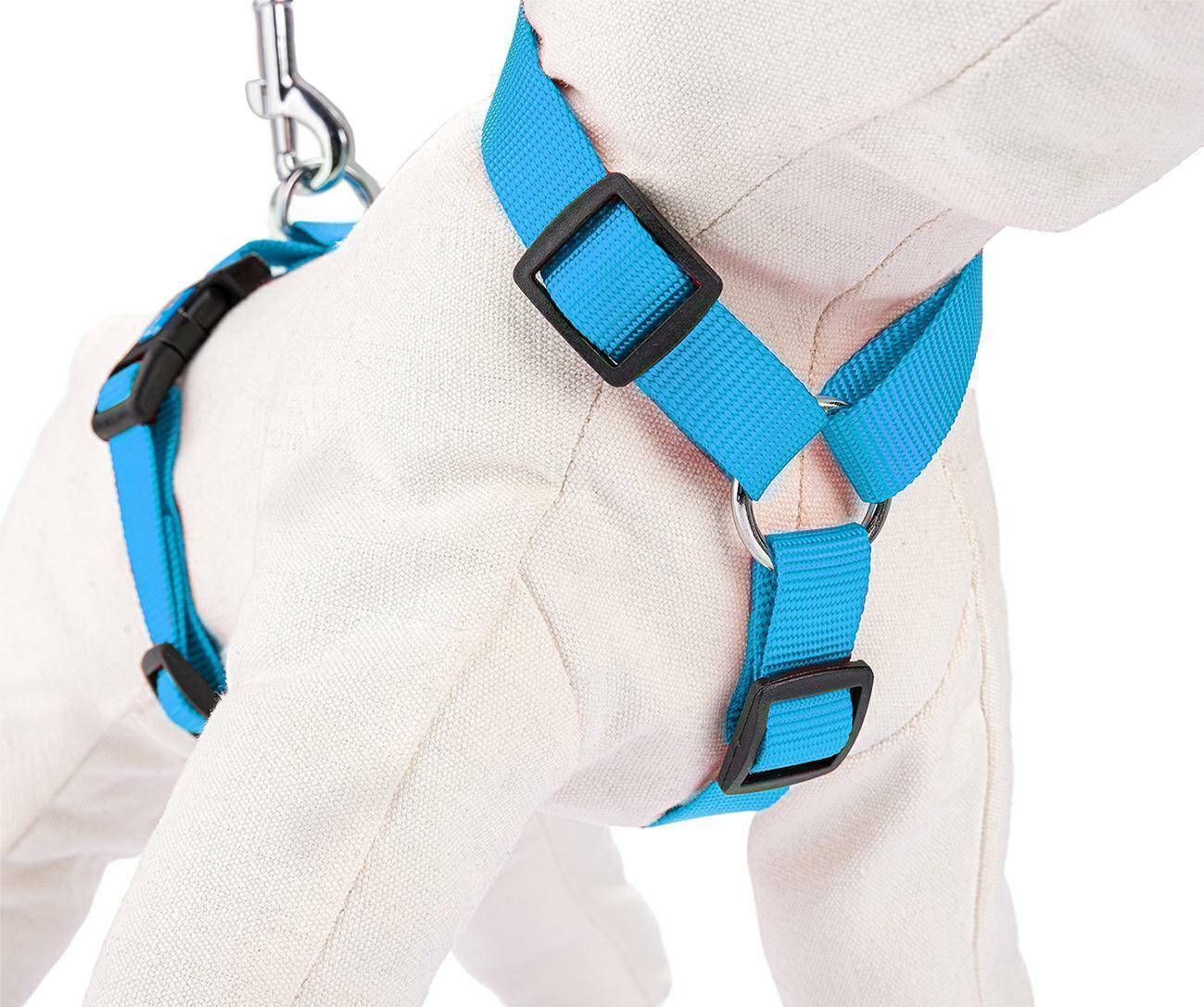 szelki-regulowane-tasma-xs-niebieskie