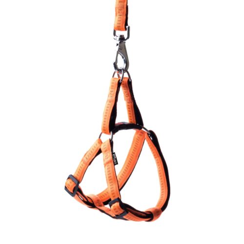 szelki-soft-style-happet-pomaranczowe-m-1-5-cm