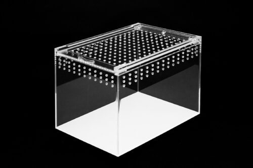 terrarium-akrylowe-20-cm