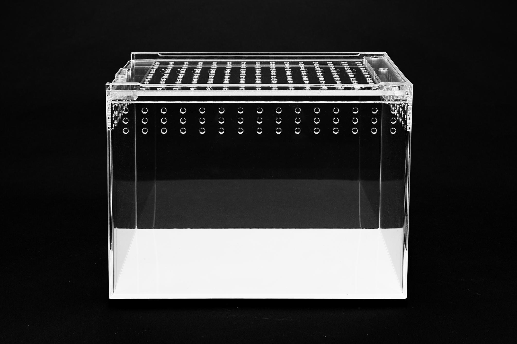 terrarium-akrylowe-20-cm