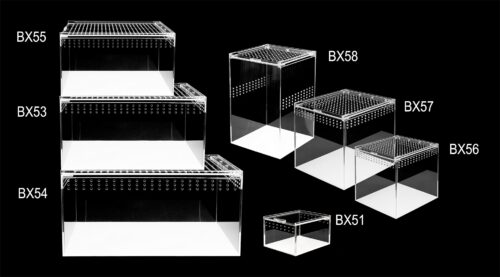 terrarium-akrylowe-20-cm