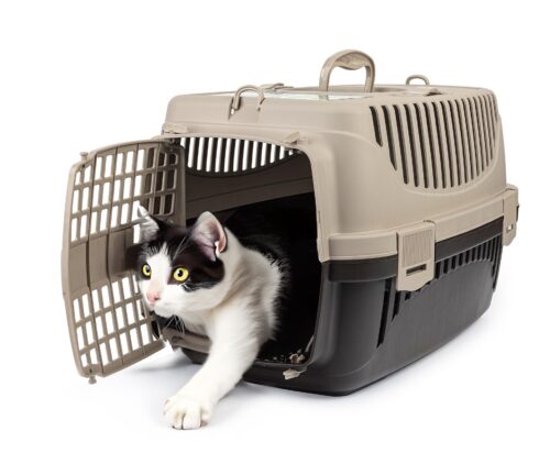 transporter-polly-m-bezowy-brazowy