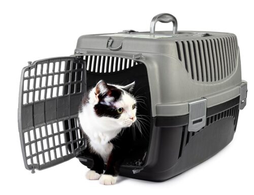 transporter-polly-m-szary-czarny