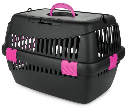 transporter-teddy-m-fuksja