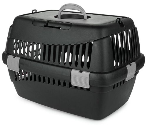 transporter-teddy-m-szary