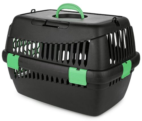 transporter-teddy-m-zielony