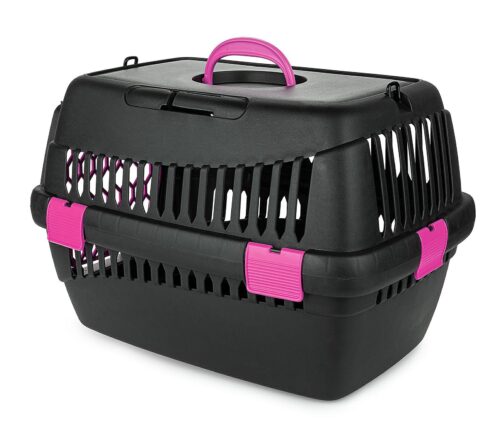 transporter-teddy-s-fuksja