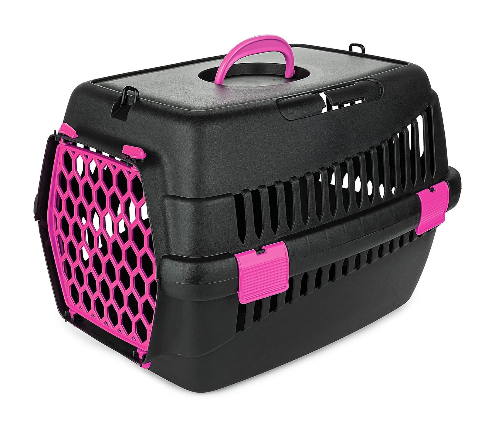 transporter-teddy-s-fuksja