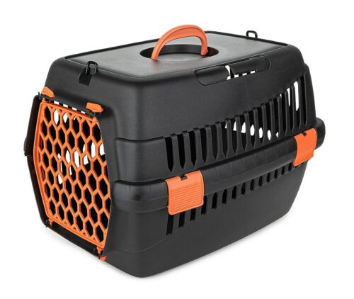 transporter-teddy-s-pomaranczowy