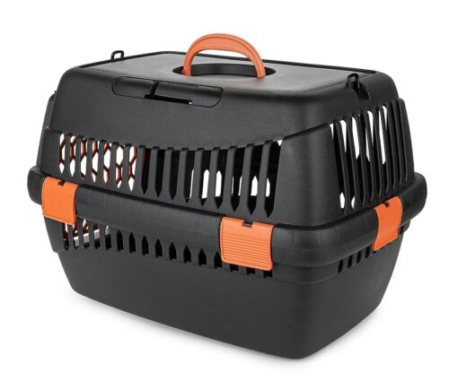 transporter-teddy-s-pomaranczowy