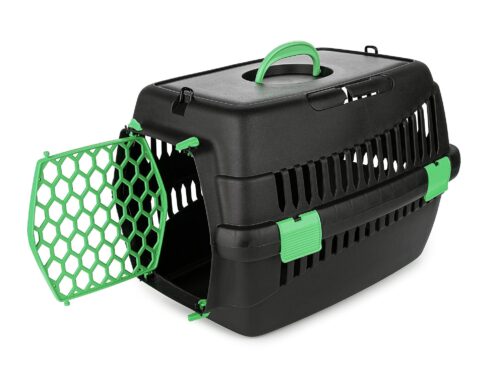 transporter-teddy-s-zielony