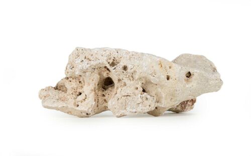 Wapień drążony S jedna sztuka 8-14 cm