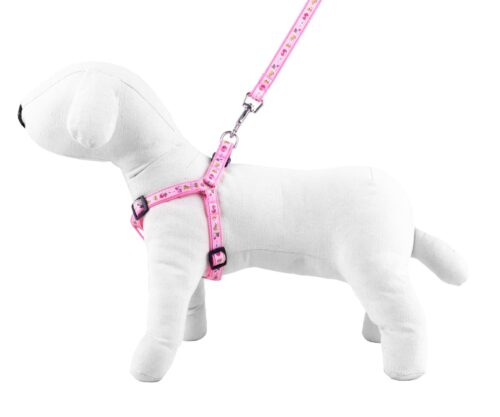 Kpl. smycz/szelki NT Happet  SR53 róż. 2 cm