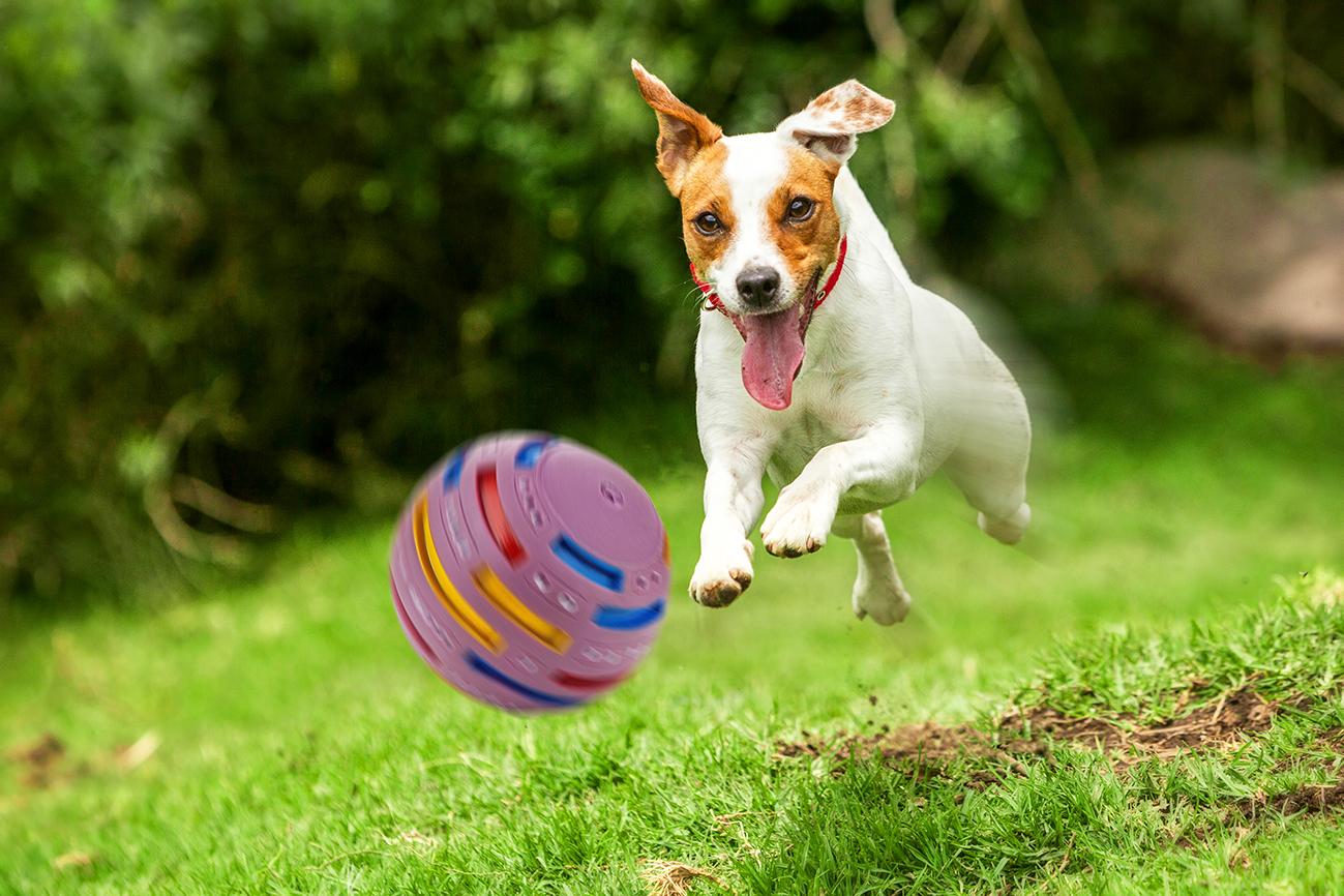 Zabawka piłka Happet Z569 figury geometr. - obrazek 4