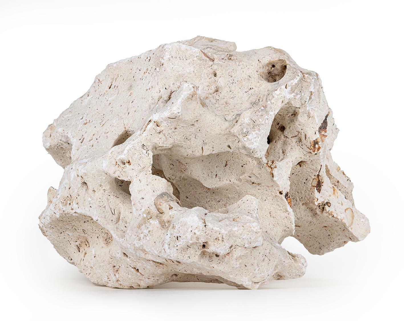 wapien-drazony-l-jedna-sztuka-22-32-cm