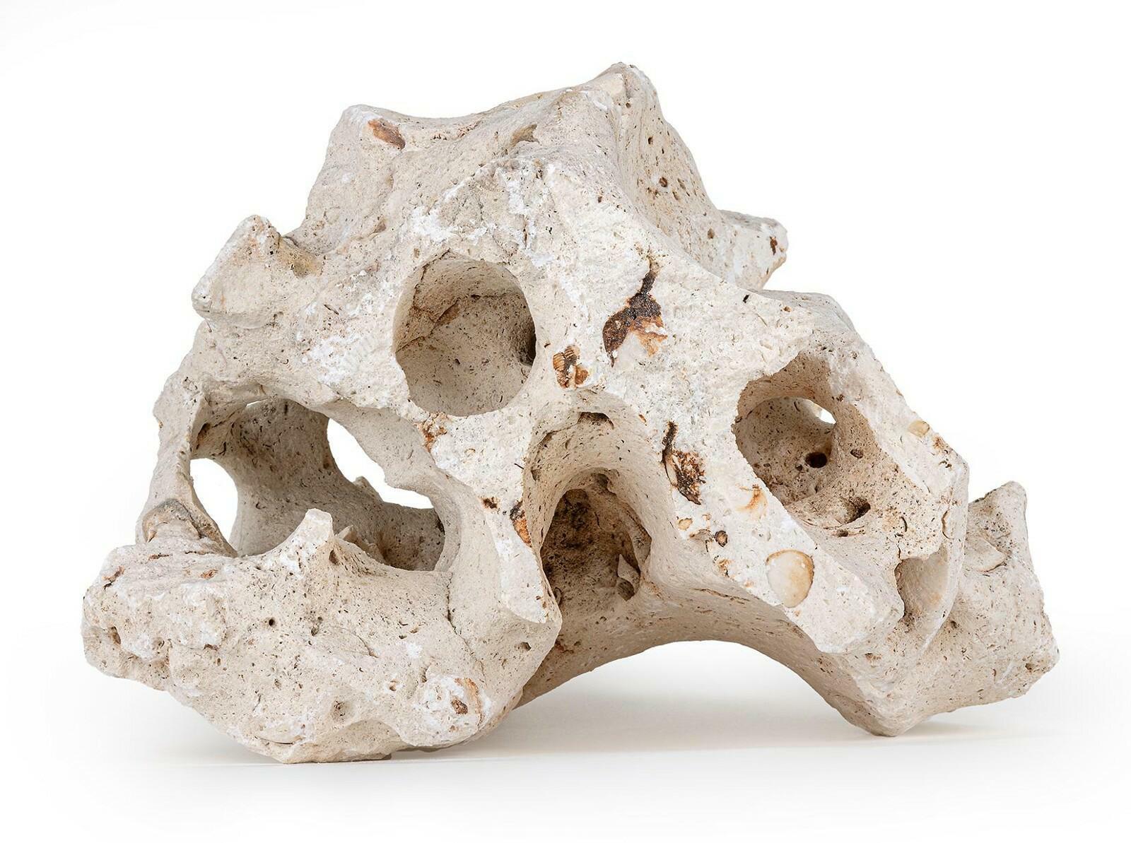 wapien-drazony-l-jedna-sztuka-22-32-cm