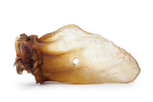 wolowe-ucho-naturalne-100-1szt-