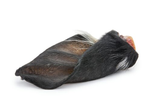 wolowe-ucho-z-futrem-1szt-