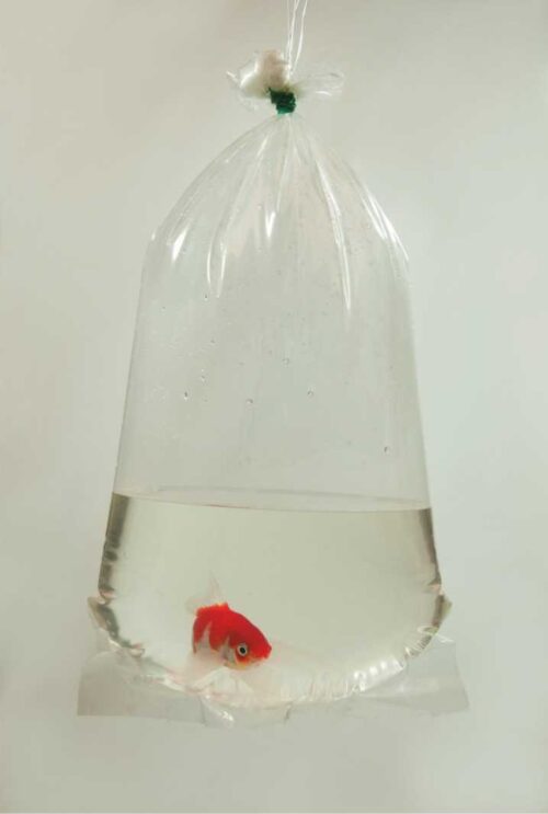 worki-do-ryb-14x40-100-sztuk-happet