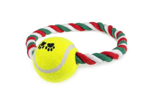 z532-zabawka-kolo-z-pilka-happet