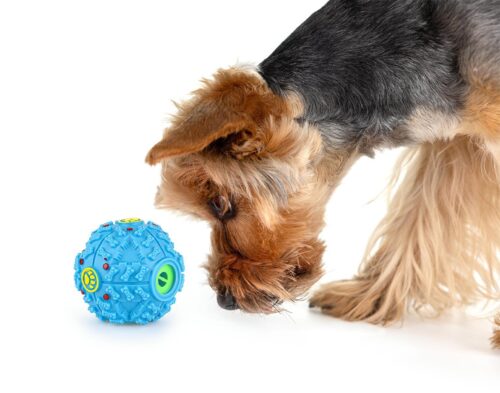 z804-pilka-na-przysmaki-kostki-10cm