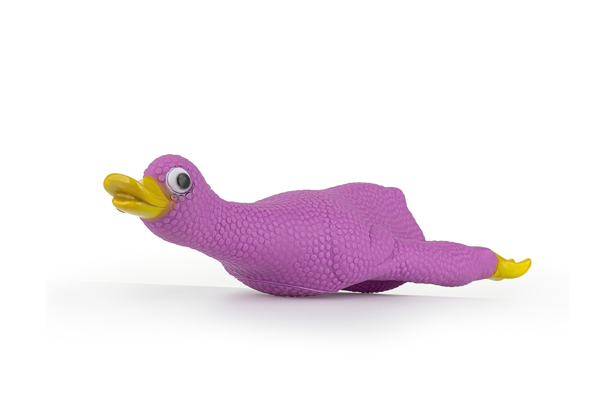 z814-kaczka-fioletowa-s