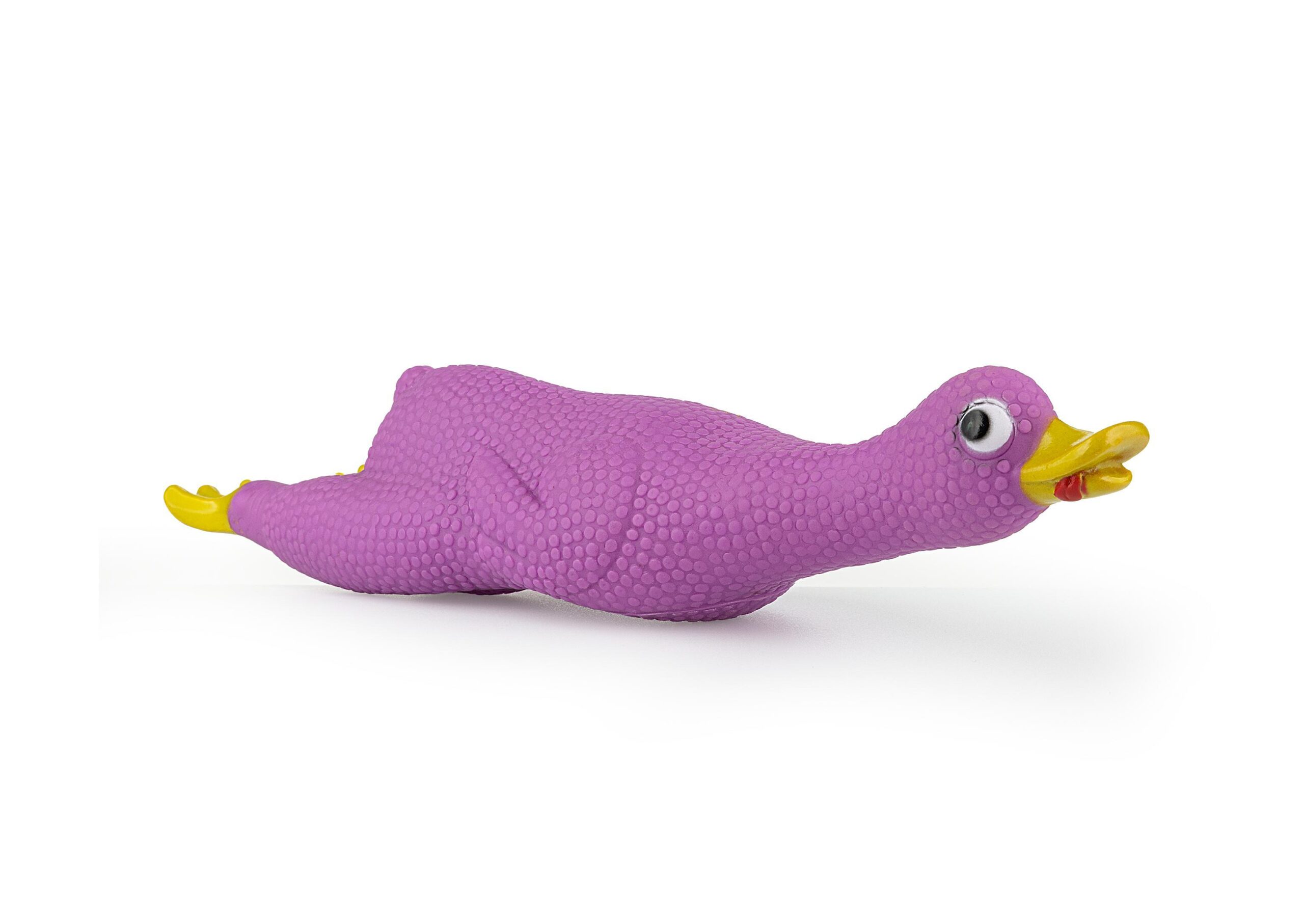 z814-kaczka-fioletowa-s