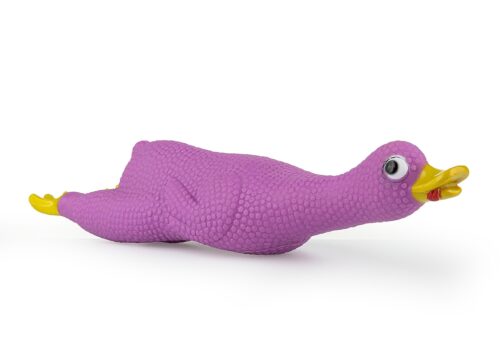 z815-kaczka-fioletowa-m