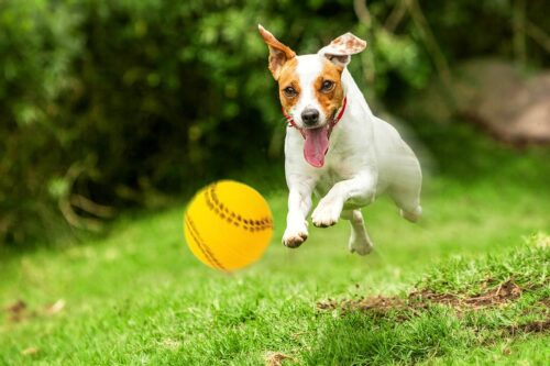 zabawka-pilka-baseball-happet-40mm-zolta