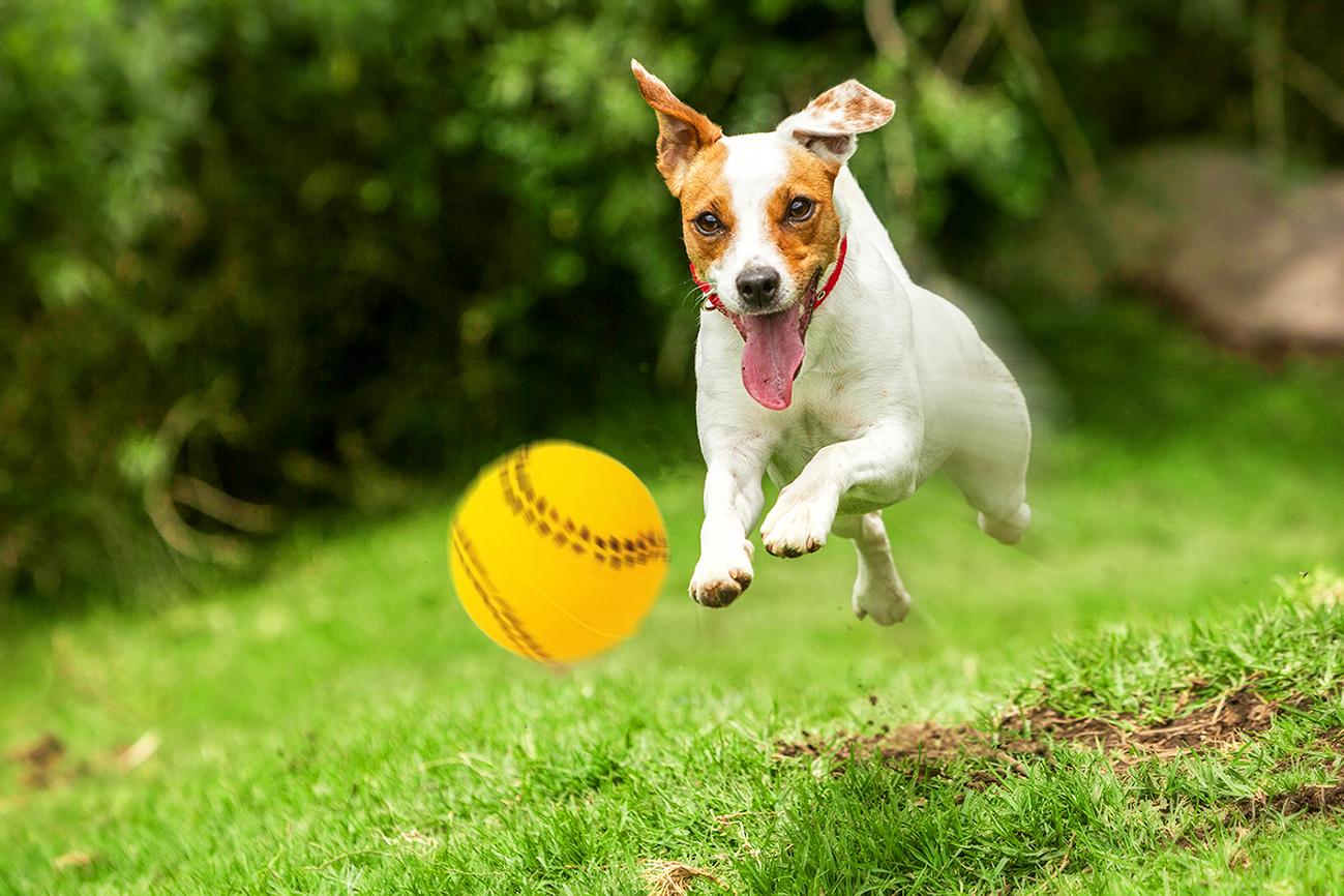 zabawka-pilka-baseball-happet-40mm-zolta