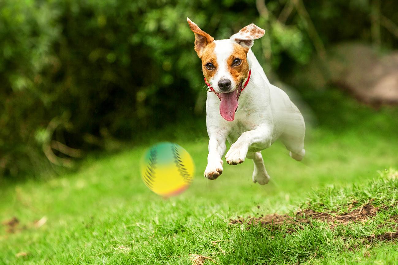 zabawka-pilka-baseball-happet-57mm-tecza