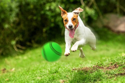 zabawka-pilka-baseball-happet-72mm-zielona