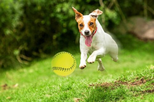 zabawka-pilka-baseball-happet-72mm-zolta