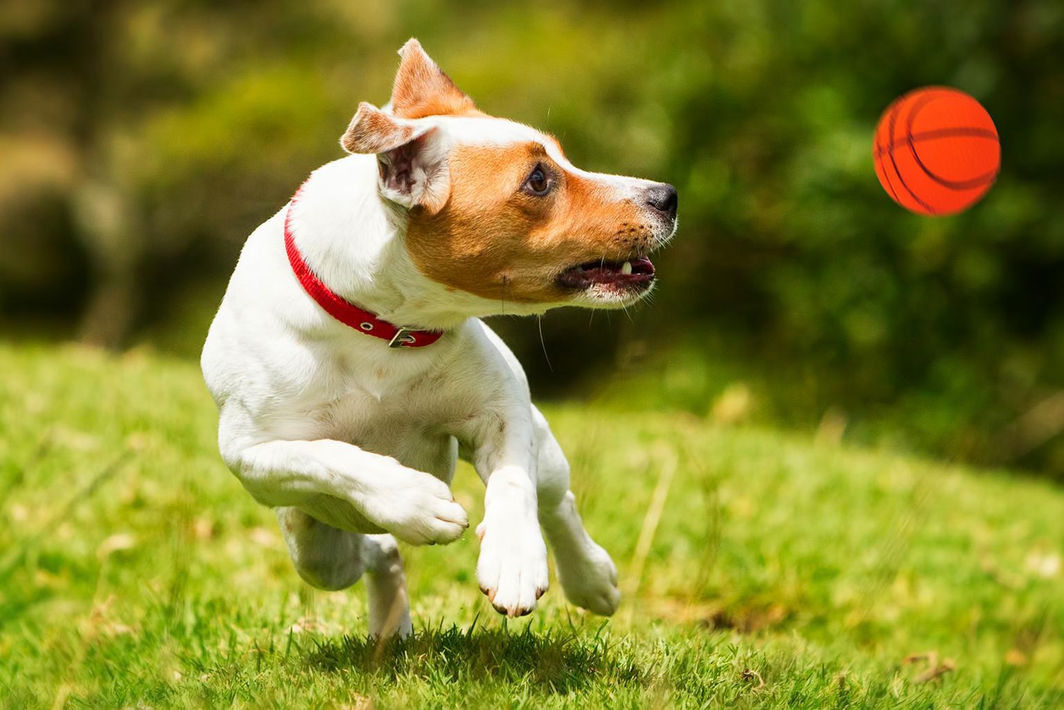 zabawka-pilka-koszykowka-happet-72mm-pomaranczowa