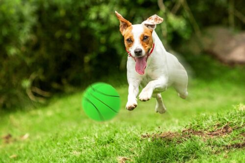 zabawka-pilka-koszykowka-happet-72mm-zielona