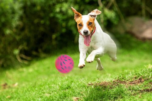 zabawka-pilka-kwiatki-happet-57mm-rozowa