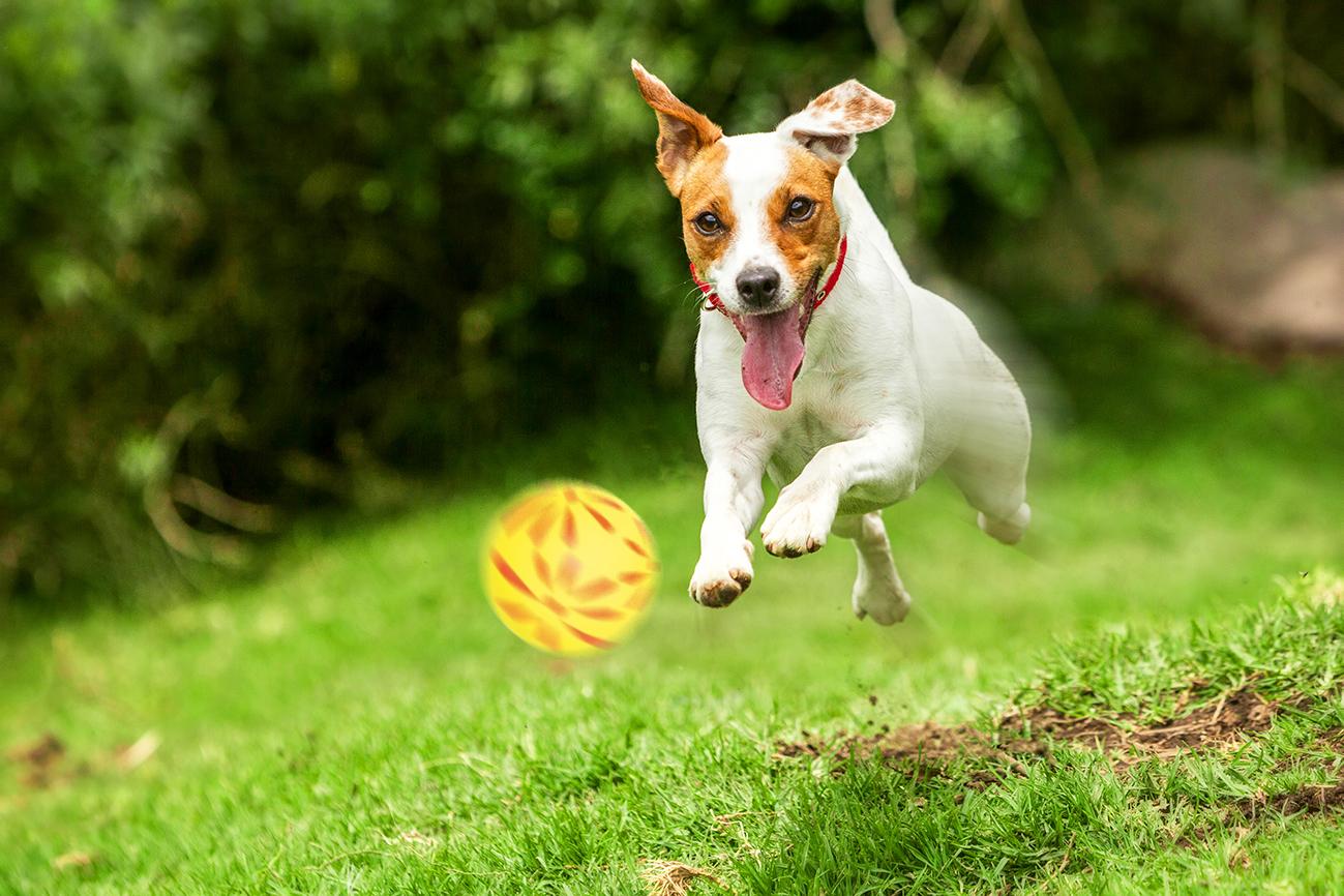 zabawka-pilka-kwiatki-happet-57mm-zolta