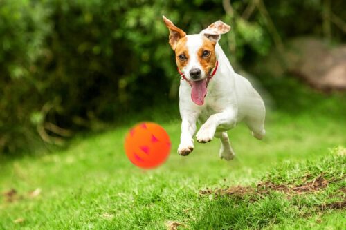 zabawka-pilka-trojkaty-happet-57mm-pomaranczowa