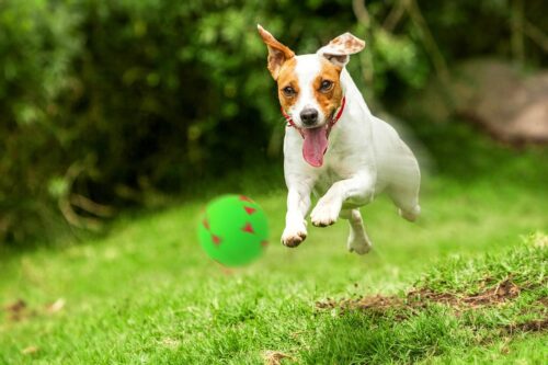 zabawka-pilka-trojkaty-happet-57mm-zielona