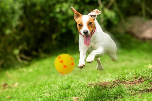 zabawka-pilka-trojkaty-happet-57mm-zolta